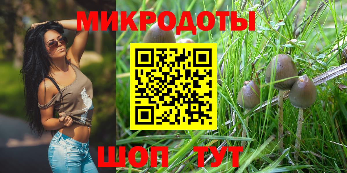 Россошь  купить закладку  Псилоцибиновые грибы GOLDEN TEACHER  Вход с VPN  Галлюциногенные грибы Psilocybe 